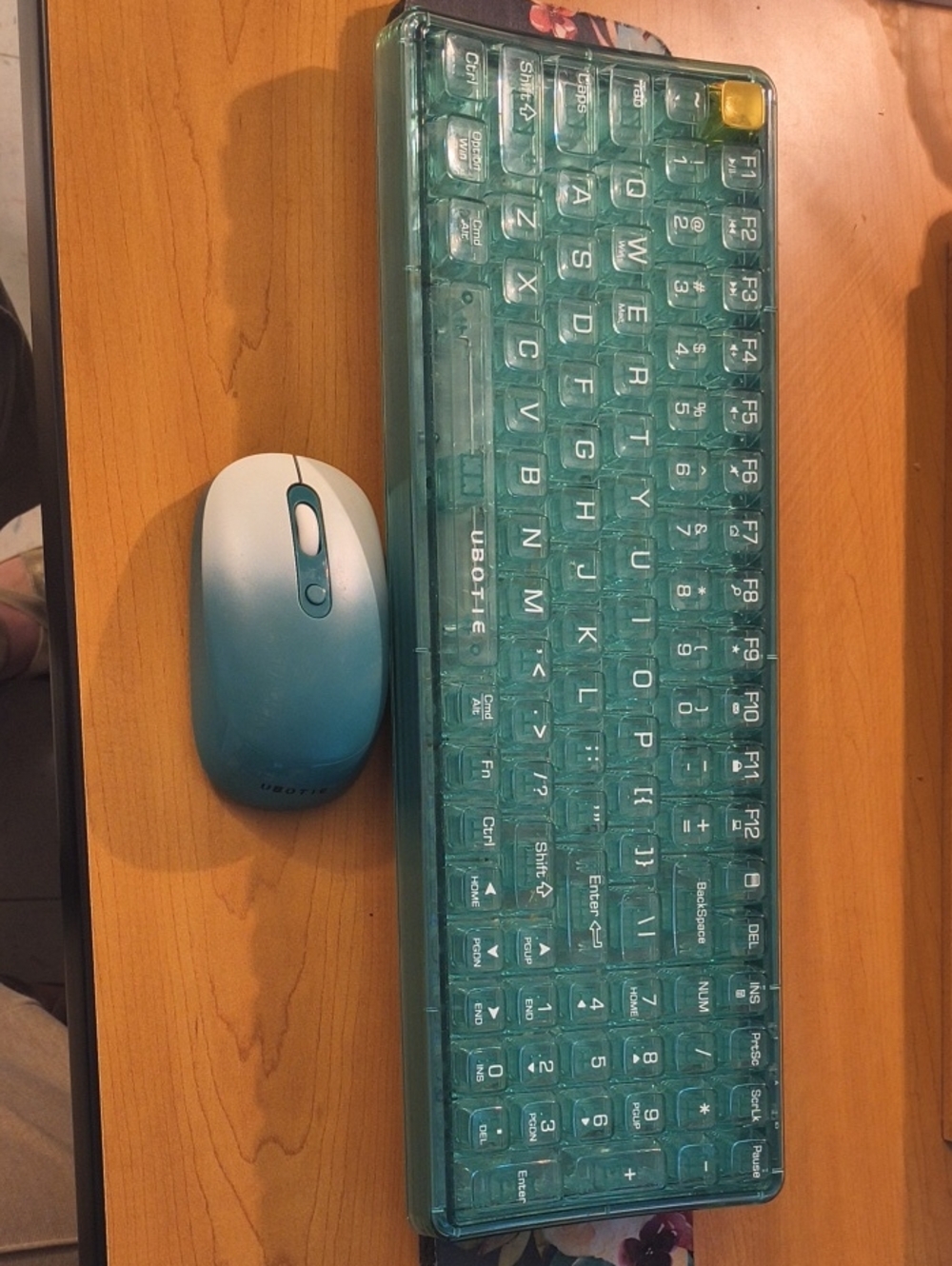 Teal Transparent Wired Keyboard with Teal/White Gradient Mouse